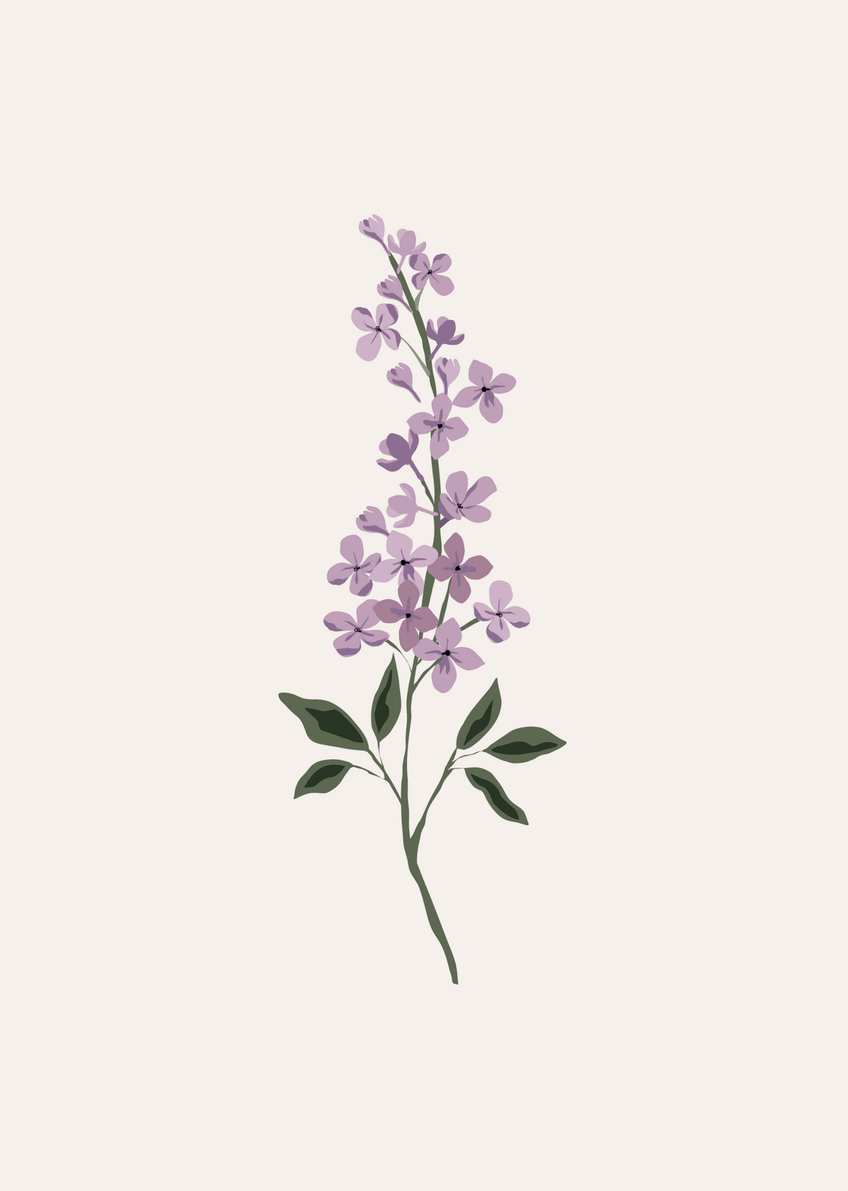 Lilas Flower Art Print